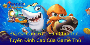 Đá Gà Cam 67 - Sân Chơi Trực Tuyến Đỉnh Cao Của Game Thủ Chuyên Nghiệp 4 A Ga Cam 67 San Choi Truc Tuyen Inh Cao Cua Game Thu Chuyen Nghiep 1