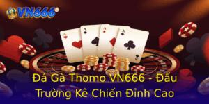 Đá Gà Thomo VN666 - Đấu Trường Kê Chiến Đỉnh Cao 2 A Ga Thomo Vn666 Au Truong Ke Chien Inh Cao 1